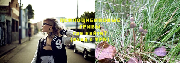 винт Вяземский