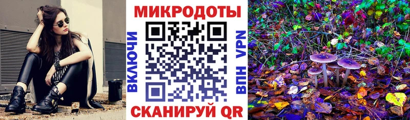 МЕГА вход  продажа наркотиков  Щёлково  Псилоцибиновые грибы MAGIC MUSHROOMS 